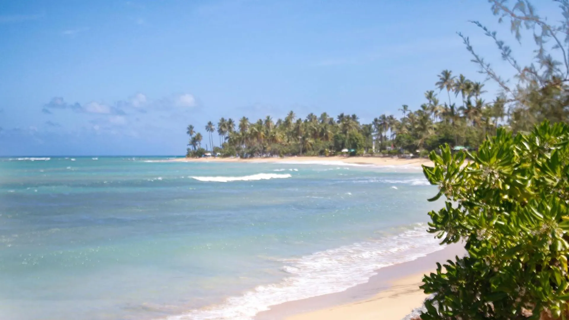 Apartamento De Ensueno En Las Terrenas Penthouse Dominikanska republiken